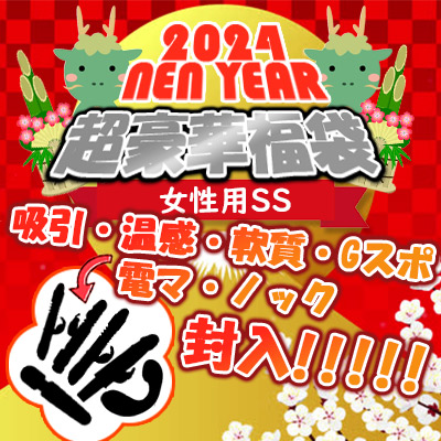 2023年 豪華女性用 SSランク福袋 2023年 豪華女性用 SSランク福袋