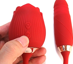 �Ÿ�Ĺ������ON/OFF