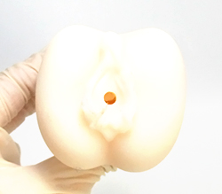 Ǥ